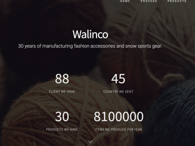 Walinco Ltd.