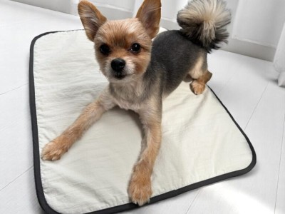 犬のカフェマット　ペットマット